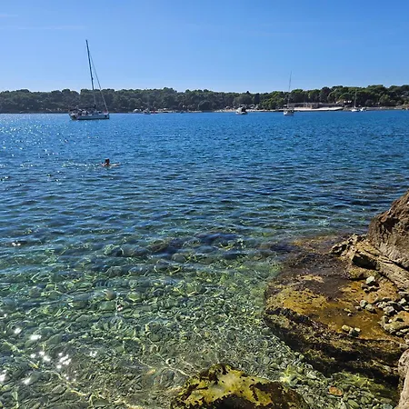 Mare Beachfront Apartment With Sea View
