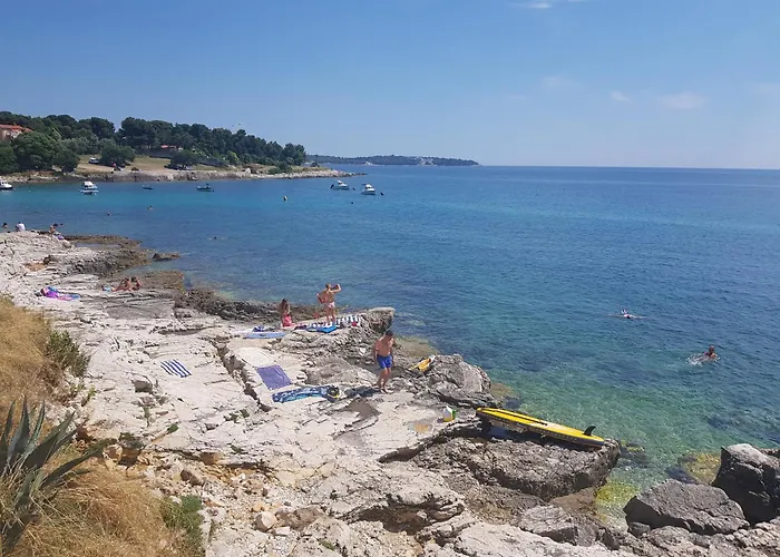 Mare Beachfront Apartment With Sea View